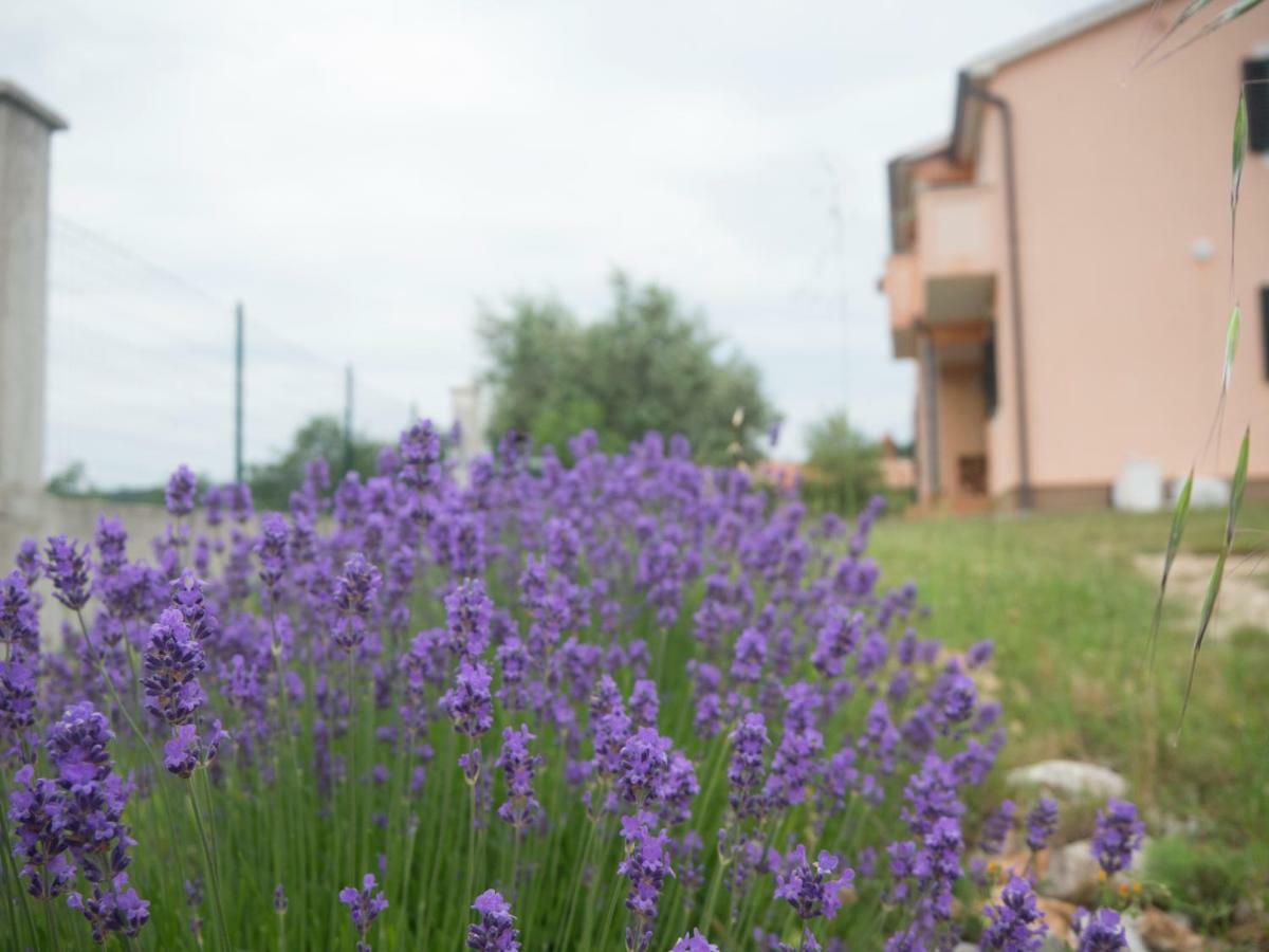 Apartment Lavandula Labin  Zewnętrze zdjęcie